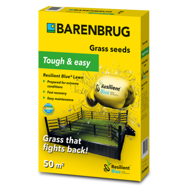 Seminte gazon BarenBrug Resilient Blue Lawn 1kg premium